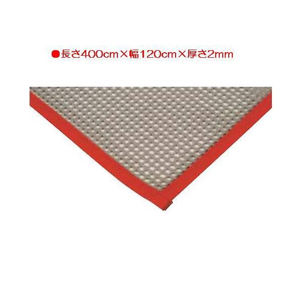 ̈ٗpi tAV[g ̑ ی ׂ~߃lbg120×400 EKF078  N(C) (ENW) (Q41CD)