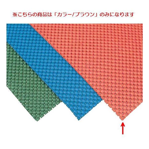 スイミング設備用品 ブール 水泳 バイオフロアーBOC-10ブラウン EHB210  送料ランク:(別) (ENW) (Q41CD)