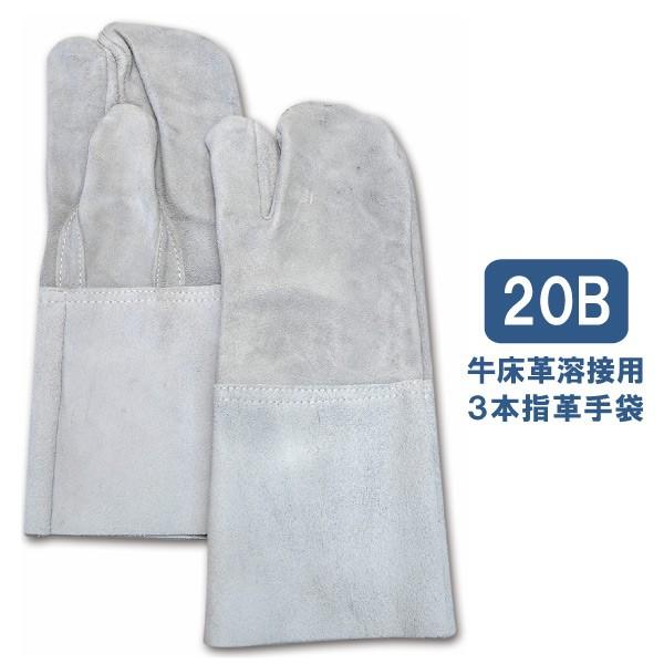 Ɨp nڗp t[TCY xmO[u 20B v nڗp3{wv nڍ H