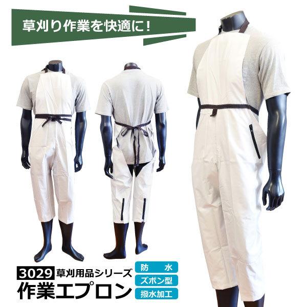 pGv 3029 ֐m^J ƃGv Y{^ Y fB[X t[TCY K[fjO _ 