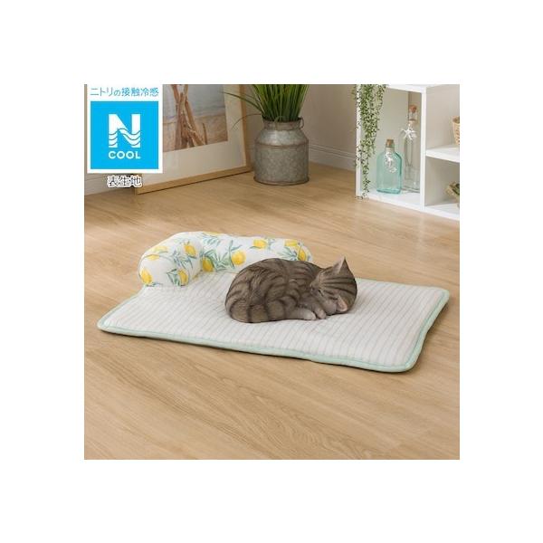 ひんやりマット ニトリ みんな探してる人気モノ ひんやりマット ニトリ ペット ペットグッズ