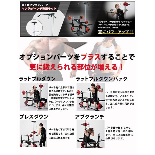 倍倍ストア10倍 ファイティングロード ホームビルダーセット キングｏｆベンチ ダンベル バーベル ブラックタイプ100kgセット Buyee Buyee Japanese Proxy Service Buy From Japan Bot Online