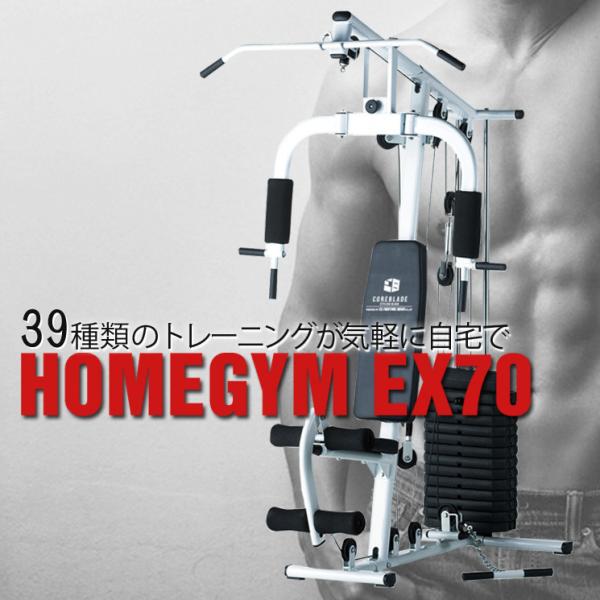 ファイティングロード ホームジムEX70 ホームジム トレーニング ファイティングロード ホームジムEX70 ホームジム トレーニング