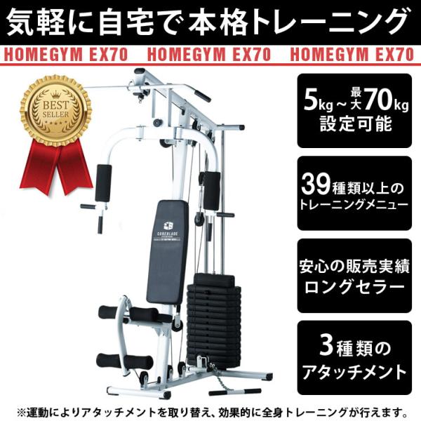 倍倍ストアp10倍 ファイティングロード ホームジムex70 マルチホームジム トレーニングマシン コンパクト設計 自宅 筋トレ Buyee Buyee 日本の通販商品 オークションの代理入札 代理購入