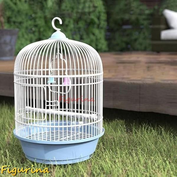 [Release date: August 1, 2024]【幅広い用途】文鳥やカナリヤ、小型インコなど、様々な小鳥に適したケージ。スターターの方にもオススメです。【鳥の楽園】ブランコやおもちゃを取り付けるスペースがたくさんあるので、あなた...