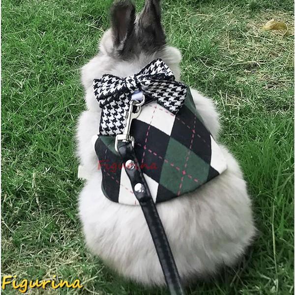 [Release date: July 31, 2024]【着脱がしやすい！可愛い！】2つの安全バックルは調節可能です。2通りの使い方ができるので、小さなペットへのプレゼントに最適です。バックルのデザイン、激しい動きをしても、外れる心配があ...