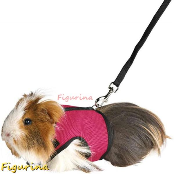 [Release date: July 31, 2024]トラクションロープ高品質のメッシュ生地で作られ、通気性と安全。使用可能な4サイズ。ペットベストとペットベルトは、ペットの走りと逃げを防ぎます。最高の快適性のための柔らかい素材。ウサギ...