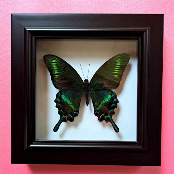 ファブリック　フォトフレーム　ちょうちょ フォトフレーム 額縁 正方形 壁掛け 立体額 ボックスフレーム 本物額