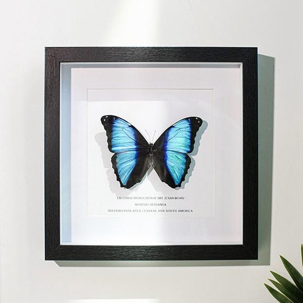 フォトフレーム 立体額 ボックスフレーム 中空 クリアフレーム