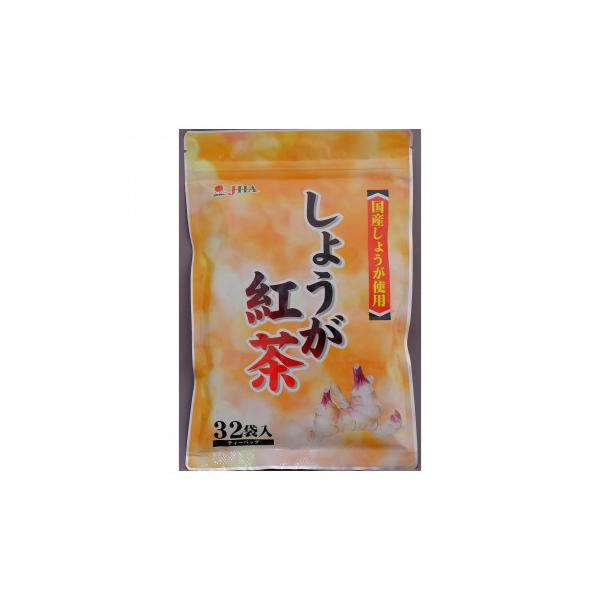【メーカー直送品・代引不可】 ゼンヤクノー しょうが紅茶 ティーバッグ 80g(2.5g×32包) 002913 ×20袋セット