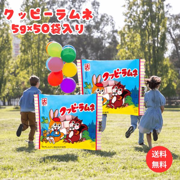 子どもから大人まで幅広い世代に愛される昔ながらの味わいを再現。甘酸っぱいフルーツの風味が口いっぱいに広がり、爽やかな後味が特徴です。ひと口サイズで食べやすく、持ち運びにも便利な個包装なので、学校やオフィス、アウトドアなど様々なシーンで手軽に...