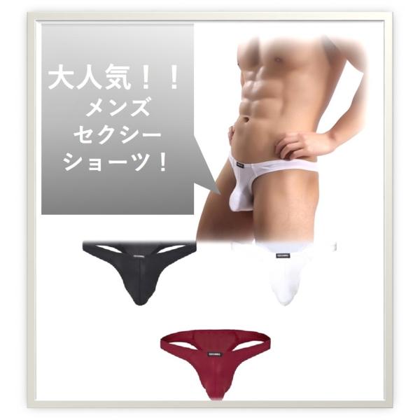 ビキニTバックショーツ パンツ ビキニ 下着 メンズ　男性下着　紳士下着　メンズインナー　スポーツ　伸縮　フィット　なめらか　シンプル　Tバック