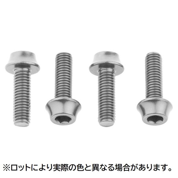 WOLF TOOTH ウルフトゥース Water Bottle Cage Bolts Silver ウォーターボトルケージ ボルト シルバー