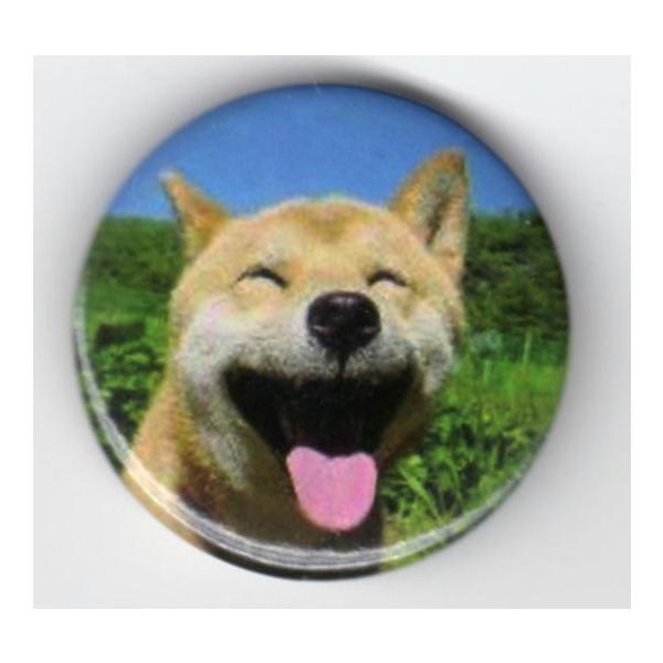 お子様から大人向けまで多ジャンルに渡り、豊富な柄を取り揃えています。  税込１００円均一のお手頃価格！！