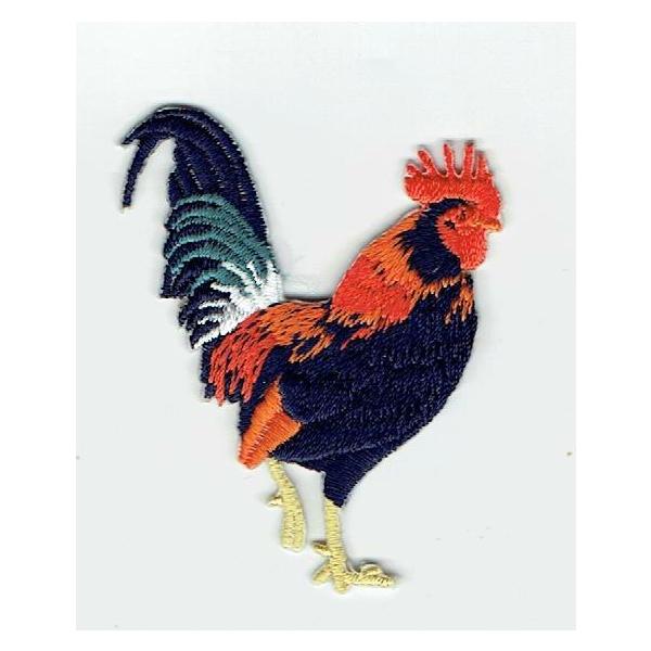 黒いニワトリ アヤム・セマニ】 全身が真っ黒なニワトリ。 メラニズムとは異なるが