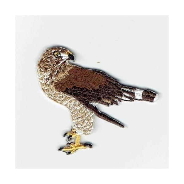 刺繍アイロンワッペン鳥(タカ/鷹) : FIND Corp. - 通販 刺繍アイロンワッペン鳥(タカ/鷹) : FIND Corp. - 通販