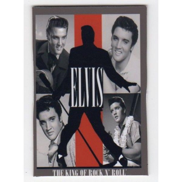 }Olbgi}OlbgV[gjGrXvX[