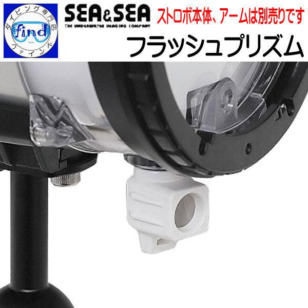 SEASEA V[AhV[ tbVvY YS-D3V[Yp t@Co[̑ɃXg{m 50127