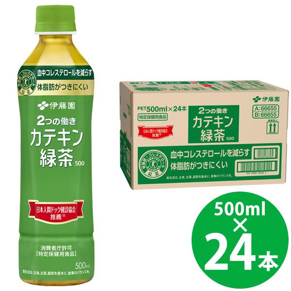 特定保健用食品 伊藤園 2つの働き カテキン緑茶 PET 500ml×24本 (送料無料) トクホ 特保 ガレート型 カテキン コレステロール お茶