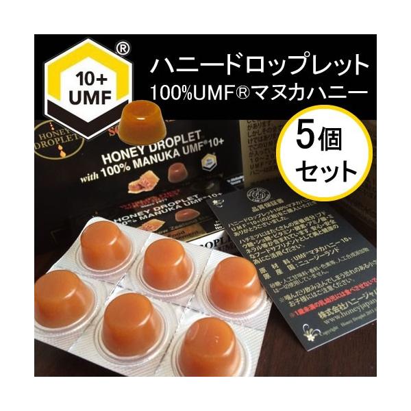 nj[hbvbgUMF}kJnj[10+ 6i5Zbgj([֑) 37nj[ ̂ǈ 100%n`~c { Îǈ j[W[hY