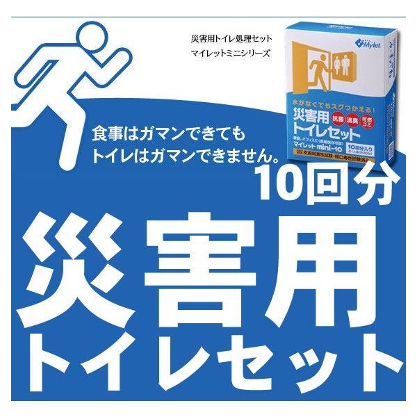 ȈՃgC gуgC }Cbg mini 10 ЊQp