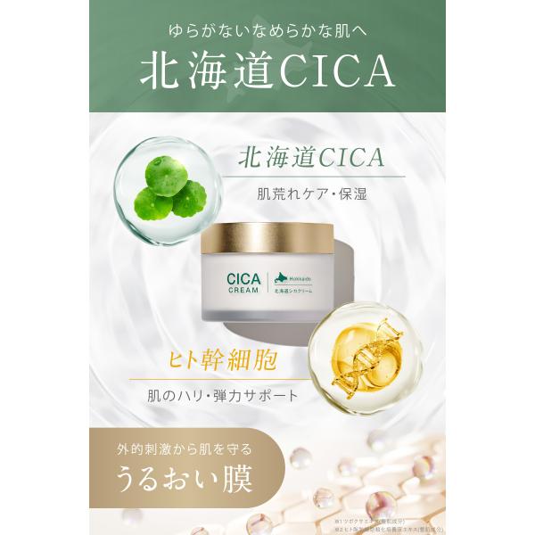 fine-day_id-02_1_d_20251027155800