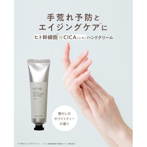 fine-day_id-07_2_d_20241010125921