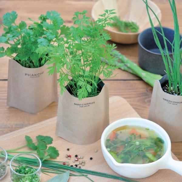 V| ĂX[v GD795-01 GD795-02 GD795-03 GD795-04 pN`[ ~jLbg lM zE ͂悤yjł