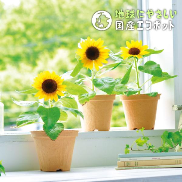 V| X}CTt[ ECOT GD435