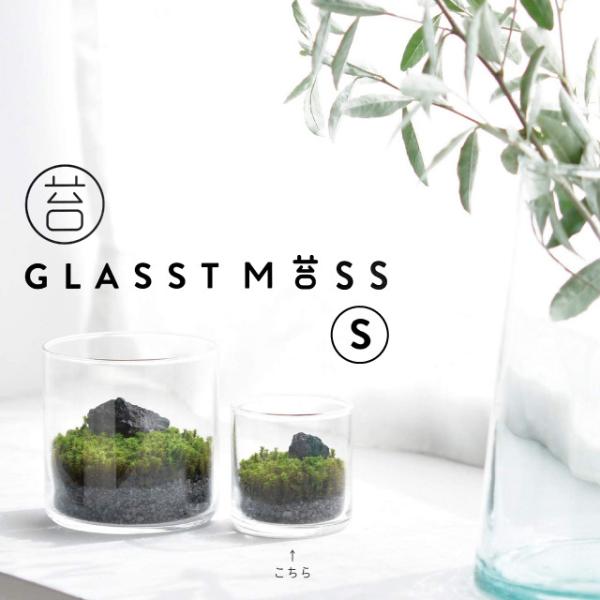 商品詳細小瓶の中の世界がかわいい苔テラリウム。苔テラリウムは作るのもお手入れも難しそう…。なんてことはありません！「グラストモス」なら、1.砂を入れて2.苔を敷いて3.溶岩石を置くたったの3ステップであっという間に苔テラリウムができちゃいま...