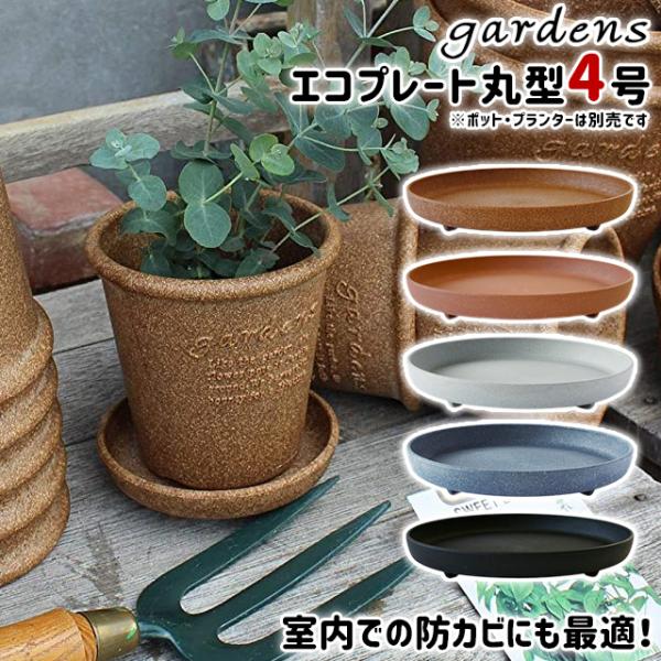 󂯎M M GRv[g ی^ 4 a12cm 3cm  gardens A[u