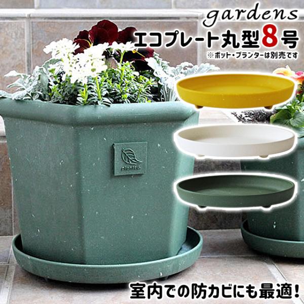 gardens 受け皿 受皿 エコプレート 丸型 8号 直径24cm 高さ3.5cm 八幡