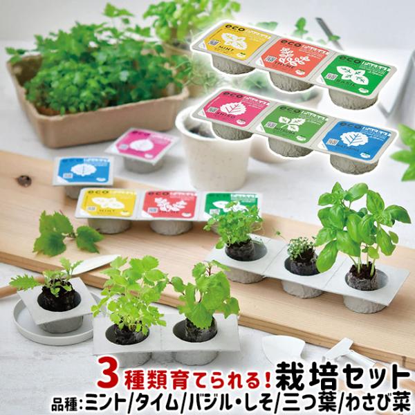 V| GR|Pbg n[uRNV Wpj[YRNV GD-952