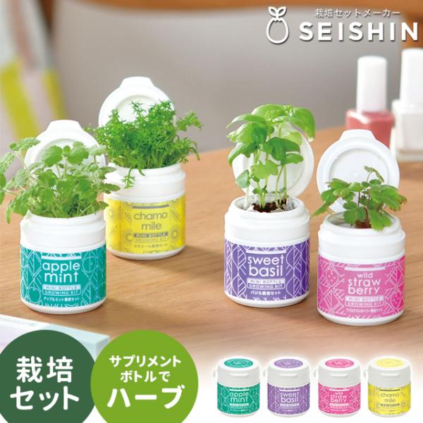品名聖新陶芸 ミニボトルハーブス GD-1005商品詳細器・土・種、すべてが揃った栽培キット！園芸をしたことがない…という方でも安心して育てることができます。おうちの中で気軽に植物が育つ喜びをお楽しみください♪こちらの商品は…ミニサイズのサ...