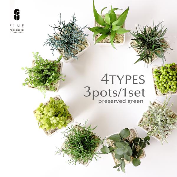 3個1セット、4タイプの中から選べるプリザーブドグリーンの枯れないミニ観葉植物。2009年発売以来　50,000個突破！Fineのインテリアグリーンは置く場所を選ばないように、とってもシンプルデザイン。北欧インテリアに、モノトーンインテリア...