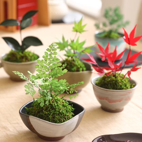 本来、盆栽とは施肥、剪定、針金掛け、水やりなど手間と時間をかけて作るもの。生きた植物なので「完成」というものがなく、常に変化するものです。それはとても魅力的で、世界からも「BONSAI」は高い評価を得ています。それがプリザーブドフラワーで仕...