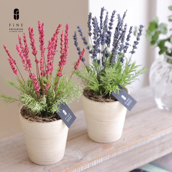 プリザーブドフラワー 母の日 プレゼント ギフト ラベンダー 送別祝い 退職祝い 誕生日 結婚祝い 新築祝い 友達 母 結婚式 おしゃれ 母 義母 友達 人気