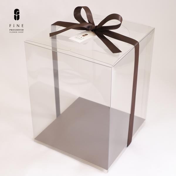 size　 Ｗ18ｘＤ18ｘＨ23.5cm素材　PET、紙