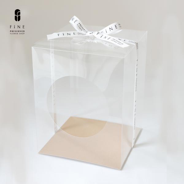 size　 Ｗ14ｘＤ14ｘＨ18cm素材　PET、紙