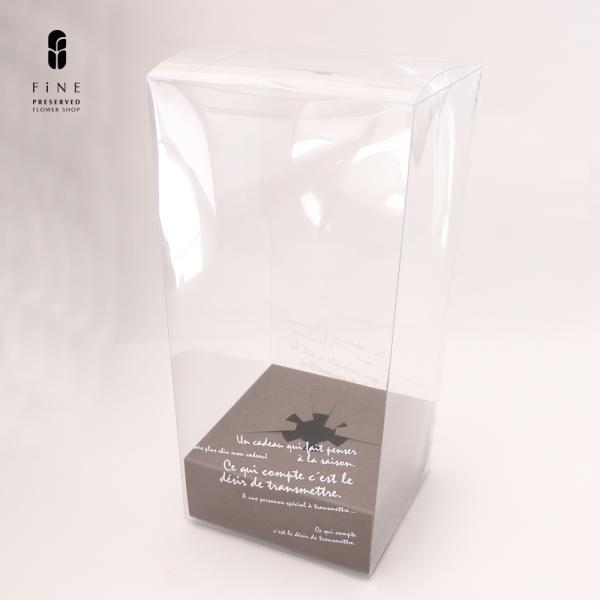 size　 Ｗ15ｘＤ15ｘＨ30cm素材　PET、紙