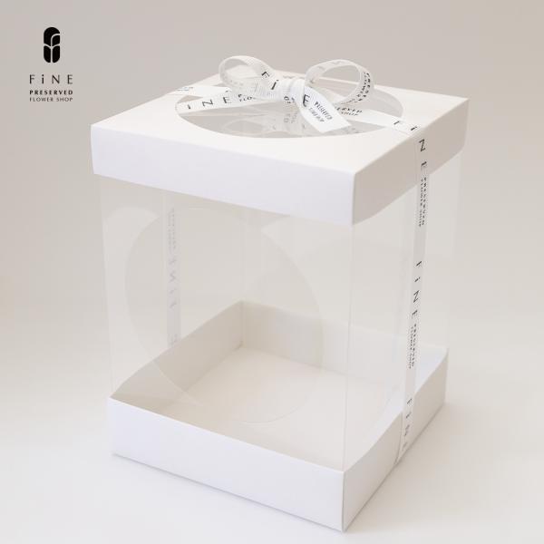 size　 Ｗ12ｘＤ12ｘＨ16cm素材　PET、紙