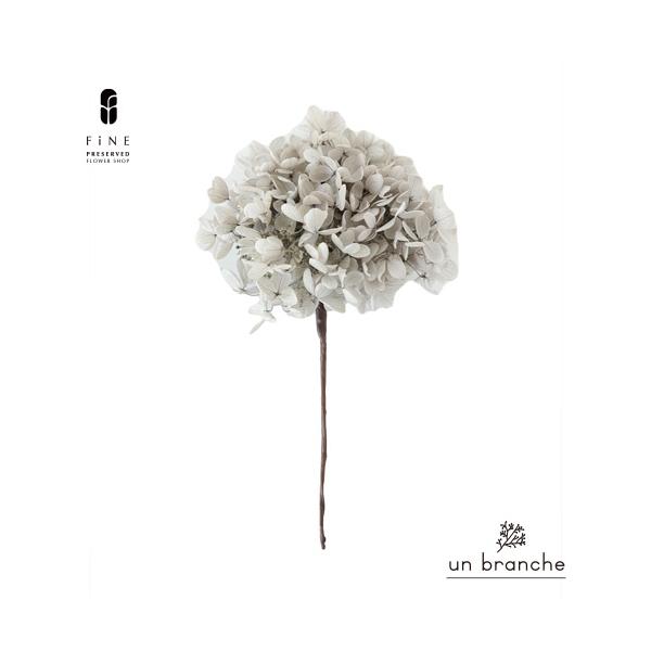 ナチュラルな色合いと質感を自在に楽しむ、ドライとプリザFiNEの花材やさん「un branche（アンブランシュ）」。シンプルインテリアに、ホワイトインテリア、北欧インテリアにそのまま飾って頂いたり、スワッグやリースなどハンドメイド花材とし...