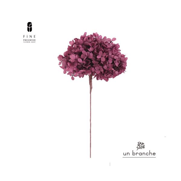 ナチュラルな色合いと質感を自在に楽しむ、ドライとプリザFiNEの花材やさん「un branche（アンブランシュ）」。シンプルインテリアに、ホワイトインテリア、北欧インテリアにそのまま飾って頂いたり、スワッグやリースなどハンドメイド花材とし...