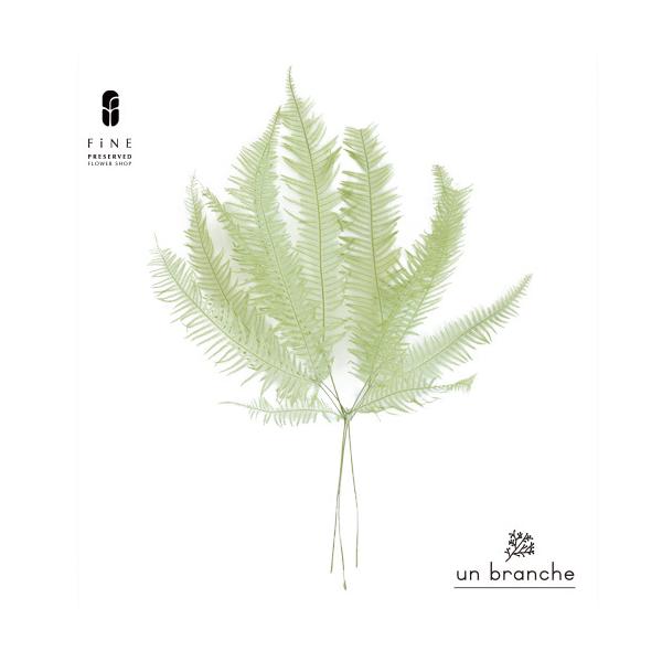 ナチュラルな色合いと質感を自在に楽しむ、ドライとプリザFiNEの花材やさん「un branche（アンブランシュ）」。シンプルインテリアに、ホワイトインテリア、北欧インテリアにそのまま飾って頂いたり、スワッグやリースなどハンドメイド花材とし...