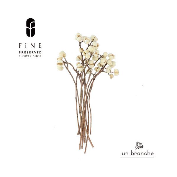 ナチュラルな色合いと質感を自在に楽しむ、ドライとプリザFiNEの花材やさん「un branche（アンブランシュ）」。シンプルインテリアに、ホワイトインテリア、北欧インテリアにそのまま飾って頂いたり、スワッグやリースなどハンドメイド花材とし...