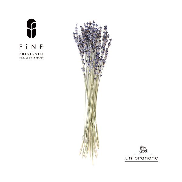 ナチュラルな色合いと質感を自在に楽しむ、ドライとプリザFiNEの花材やさん「un branche（アンブランシュ）」。シンプルインテリアに、ホワイトインテリア、北欧インテリアにそのまま飾って頂いたり、スワッグやリースなどハンドメイド花材とし...