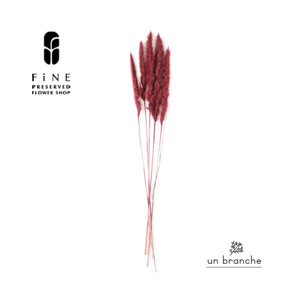 ナチュラルな色合いと質感を自在に楽しむ、ドライとプリザFiNEの花材やさん「un branche（アンブランシュ）」。シンプルインテリアに、ホワイトインテリア、北欧インテリアにそのまま飾って頂いたり、スワッグやリースなどハンドメイド花材とし...