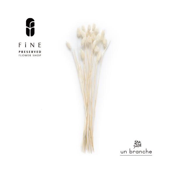ナチュラルな色合いと質感を自在に楽しむ、ドライとプリザFiNEの花材やさん「un branche（アンブランシュ）」。シンプルインテリアに、ホワイトインテリア、北欧インテリアにそのまま飾って頂いたり、スワッグやリースなどハンドメイド花材とし...