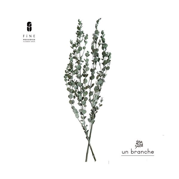 ナチュラルな色合いと質感を自在に楽しむ、ドライとプリザFiNEの花材やさん「un branche（アンブランシュ）」。シンプルインテリアに、ホワイトインテリア、北欧インテリアにそのまま飾って頂いたり、スワッグやリースなどハンドメイド花材とし...