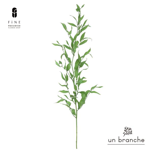 ナチュラルな色合いと質感を自在に楽しむ、ドライとプリザFiNEの花材やさん「un branche（アンブランシュ）」。シンプルインテリアに、ホワイトインテリア、北欧インテリアにそのまま飾って頂いたり、スワッグやリースなどハンドメイド花材とし...
